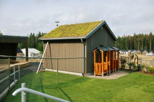 Förråd nyggbyggt med sedumtak på skolgård